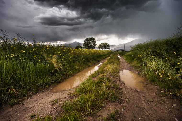 field-thunderstorm-rainy-meadow.jpg